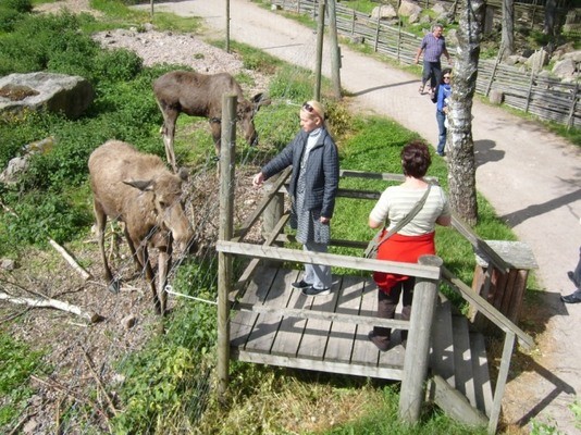 Schweden04-cee4262b4f